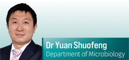 CROSS-FIELD-Dr Yuan Shuofeng, Department of Microbiology